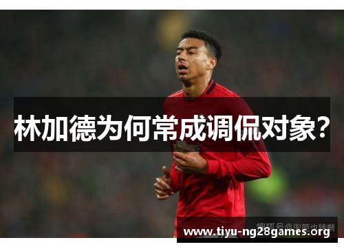 林加德为何常成调侃对象？